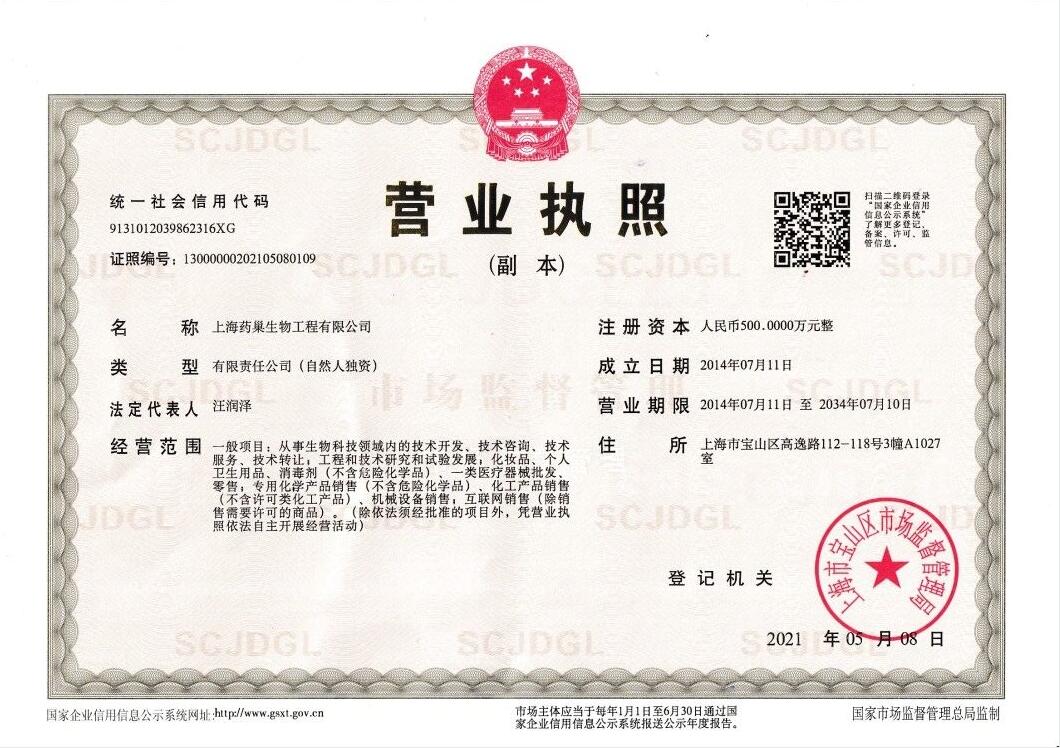上海技術(shù)咨詢服務(wù)的崛起與價值